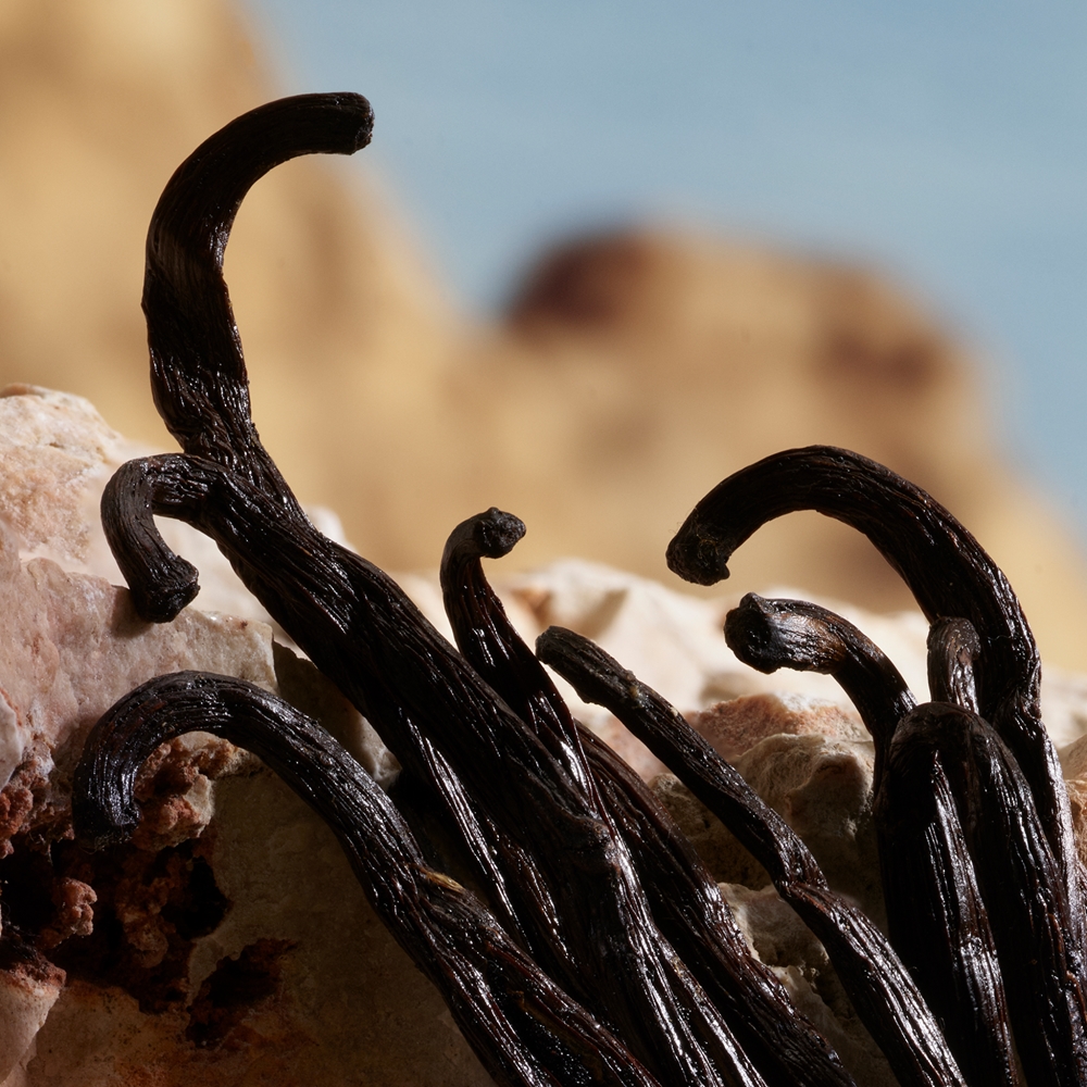 Dolce&Gabbana Q by Dolce & Gabbana Parfum 6