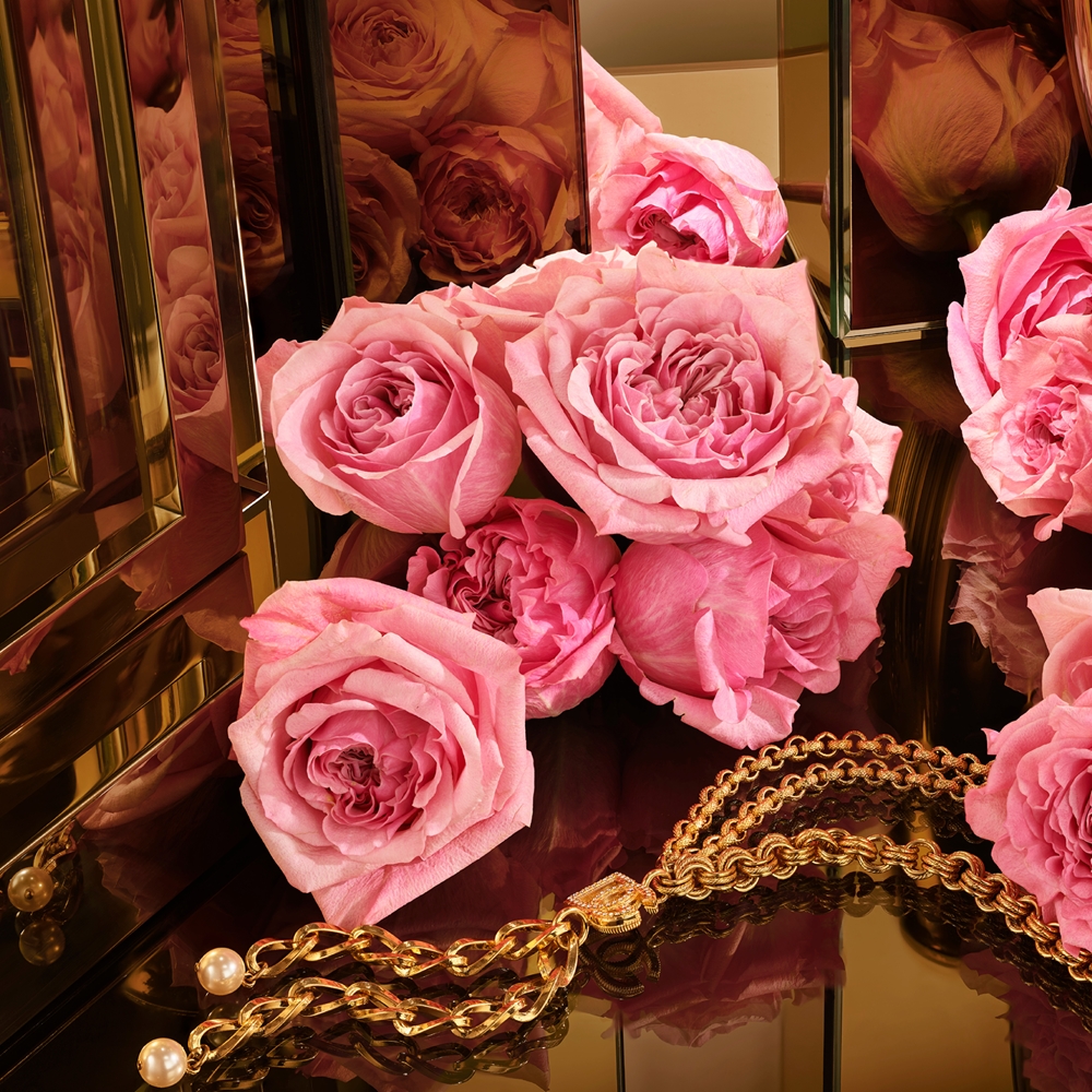 Dolce&Gabbana The One Gold 5