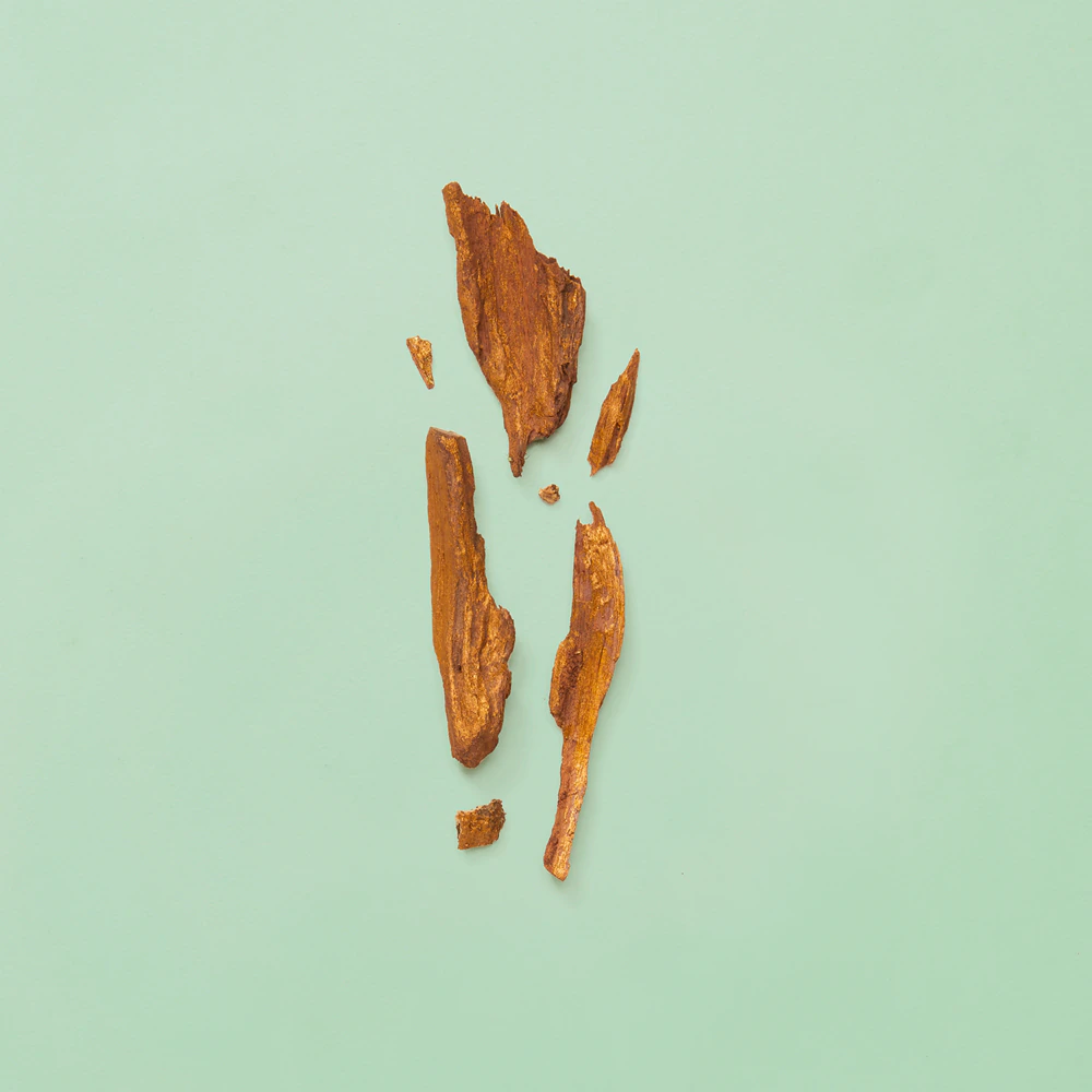 Gucci Gucci Guilty Absolute 5