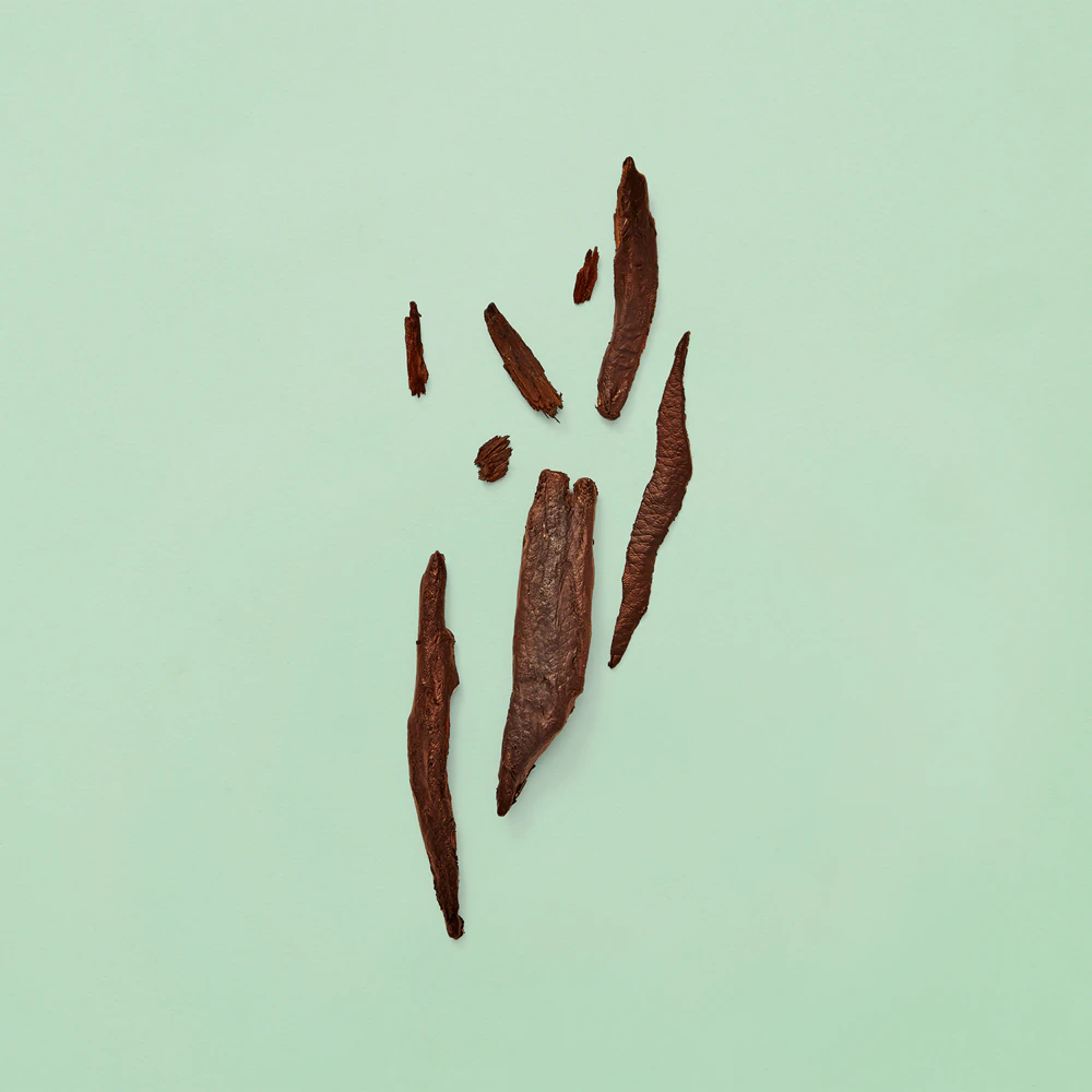 Gucci Gucci Guilty Absolute 6