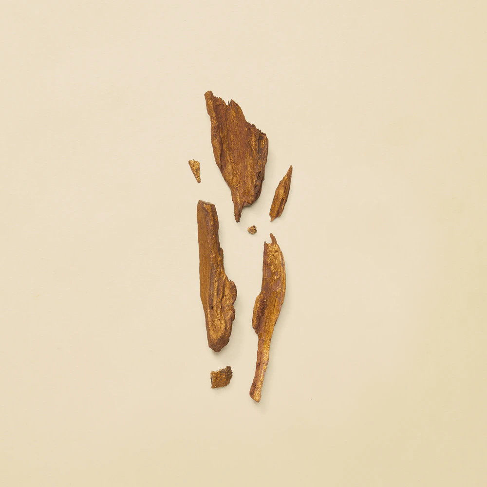 Gucci Gucci Guilty Absolute Pour Femme 4