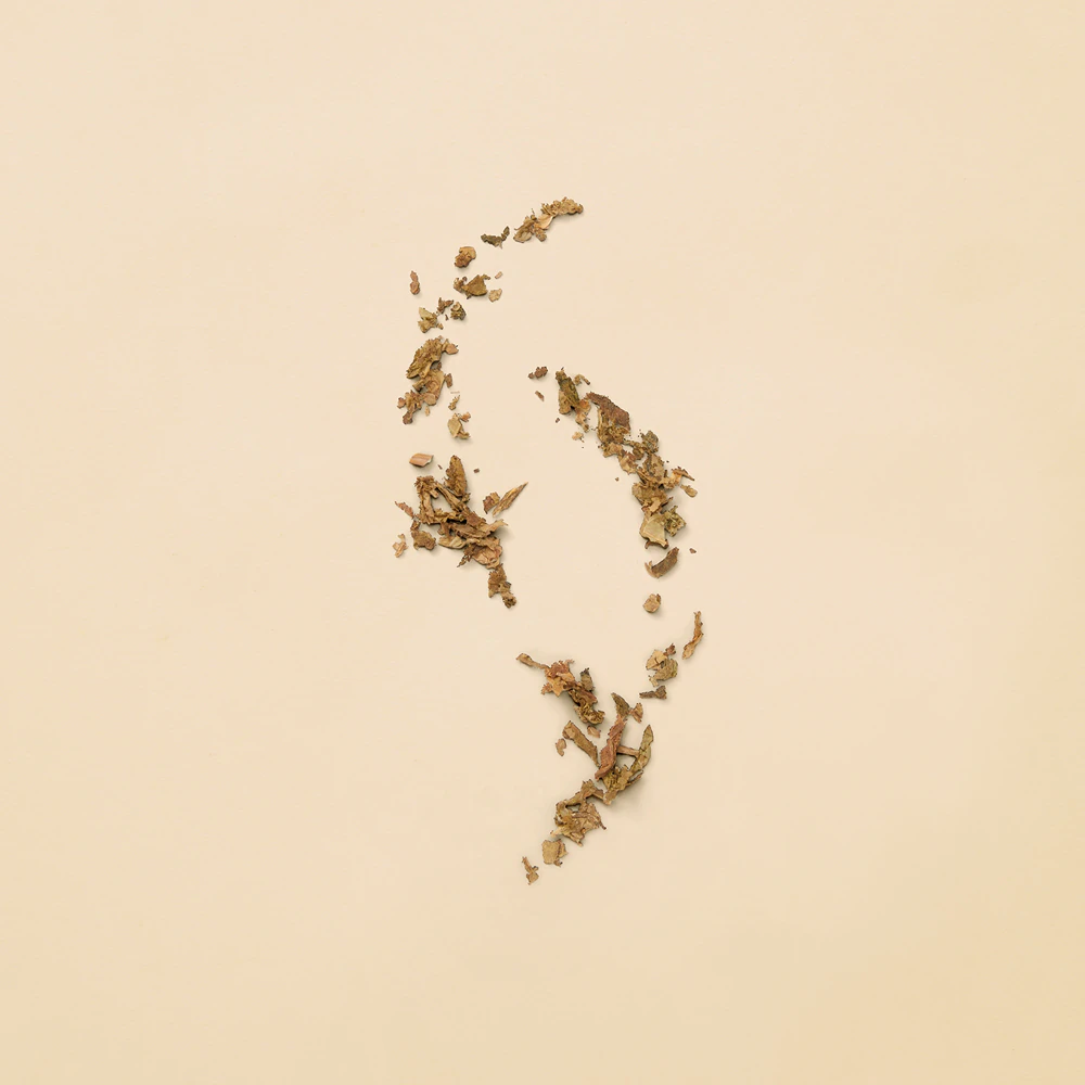 Gucci Gucci Guilty Eau de Parfum 8