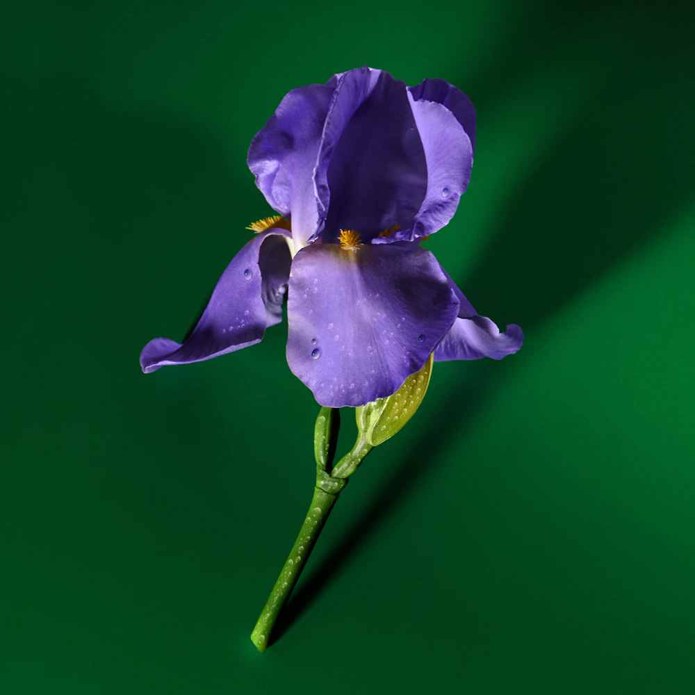 Gucci Guilty Elixir de Parfum pour Homme 4