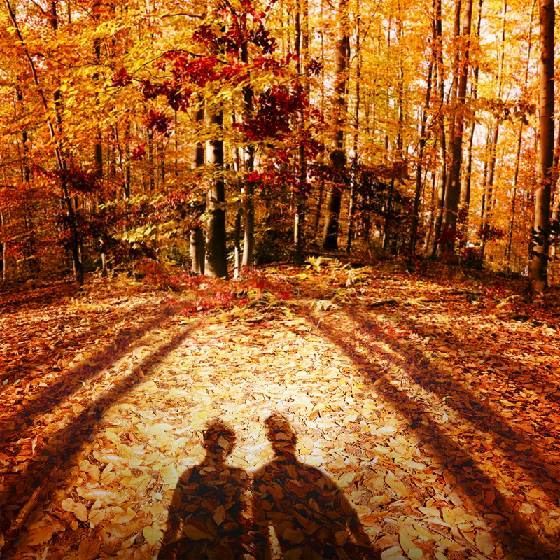 Maison Martin Margiela Autumn Vibes 4