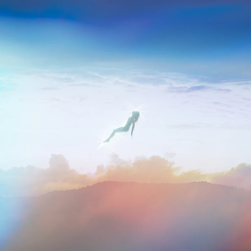 Maison Martin Margiela Flying 6