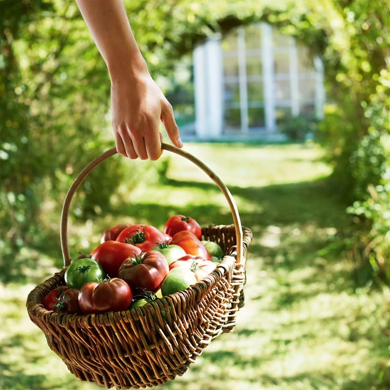 Maison Martin Margiela From the Garden 9