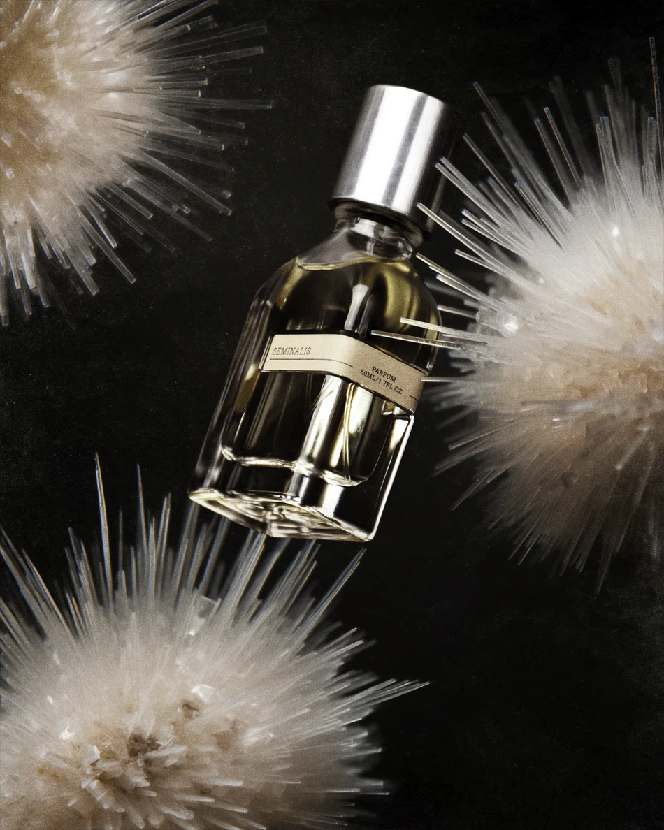 Orto Parisi Seminalis 3