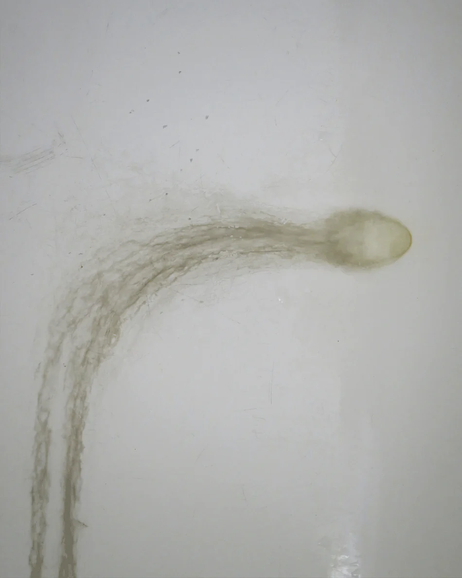 Orto Parisi Seminalis 4