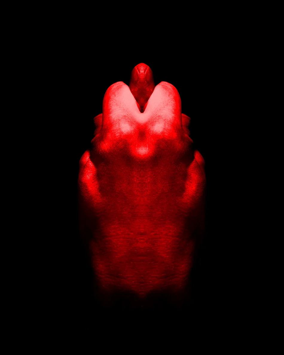 Orto Parisi Terroni 4