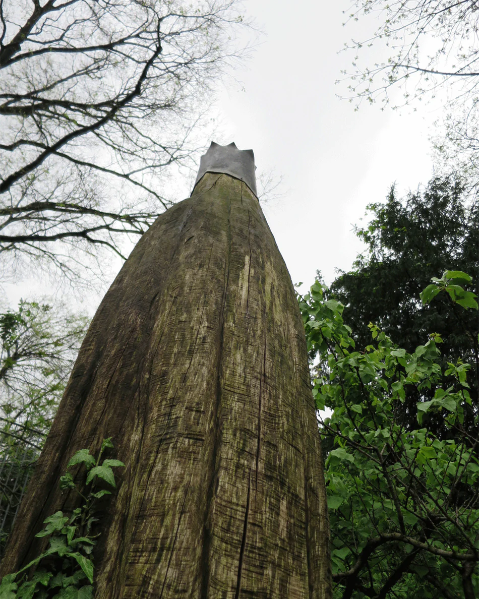 Orto Parisi Viride 4