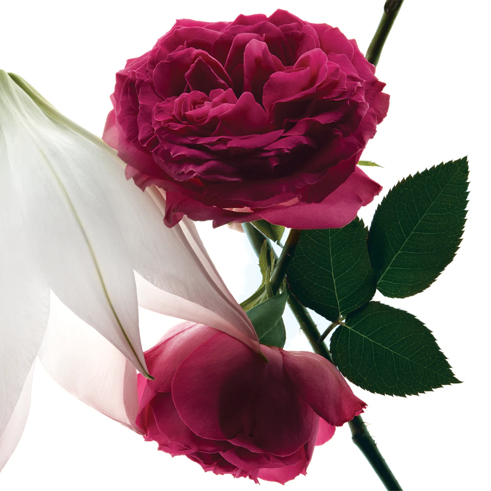 Yves Saint Laurent Mon Paris Intensement 3