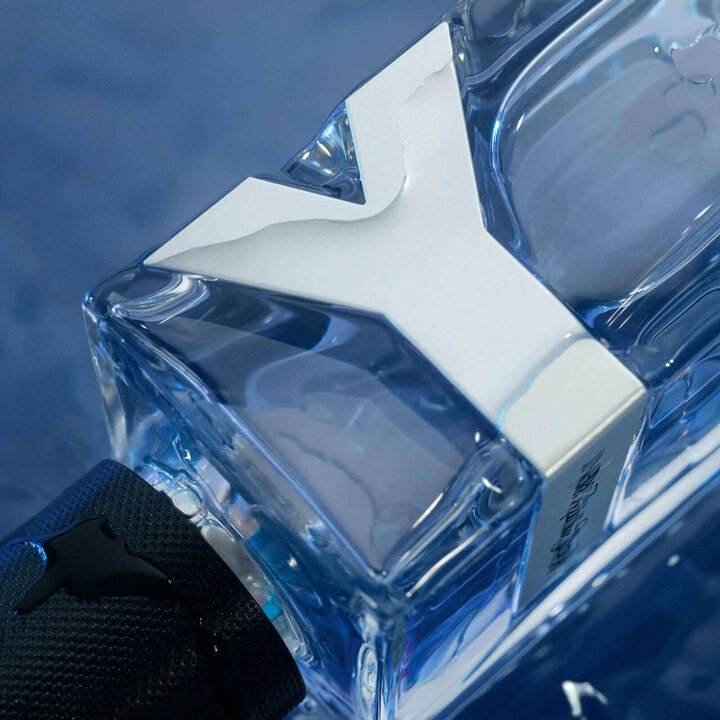 Yves Saint Laurent Y 6