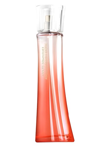 Agua de Bambu Exotic for Woman