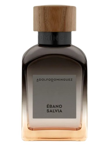 Ebano Salvia