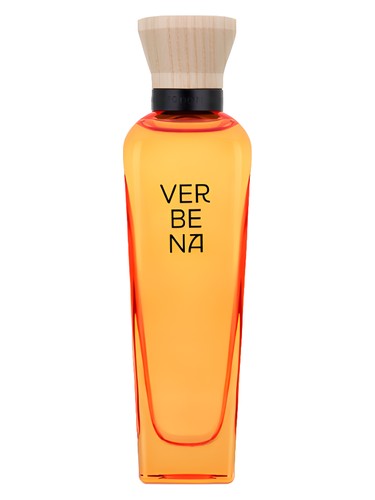 Verbena Mujer