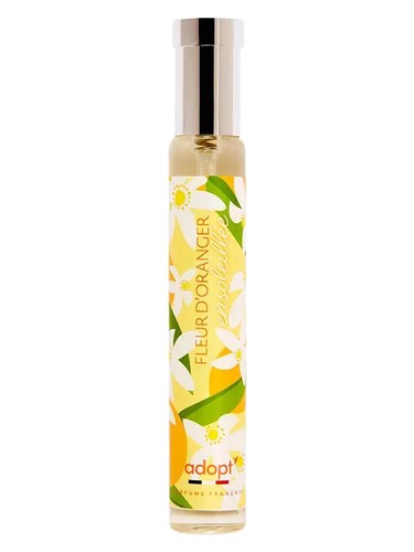 Fleur d'oranger ensoleillee