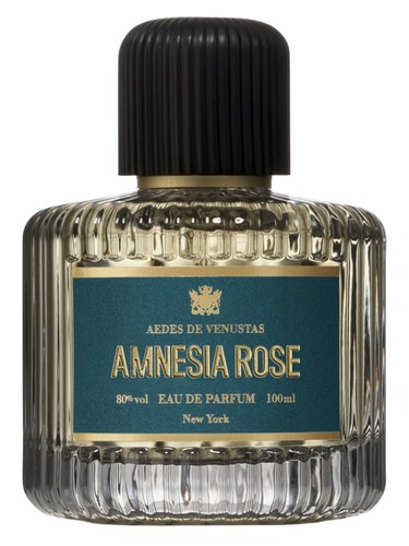 Amnesia Rose