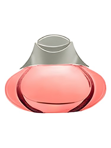 Arabia Felix Collection Tedallal Woman