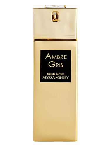 Ambre Gris