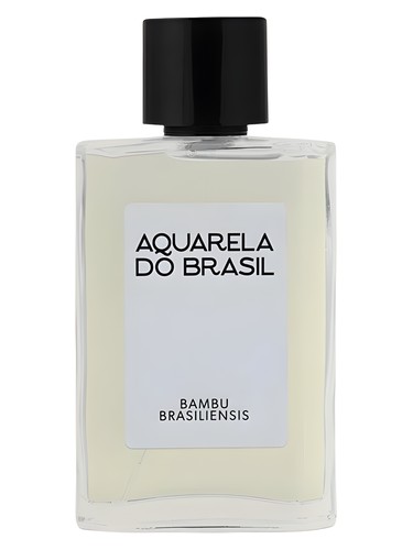 Bambu Brasiliensis