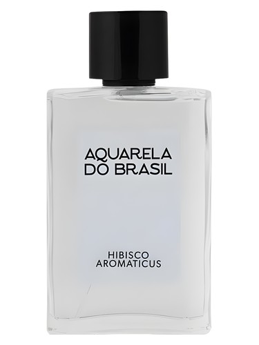 Hibisco Aromaticus