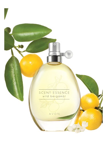 Scent Essence-Wild Bergamot