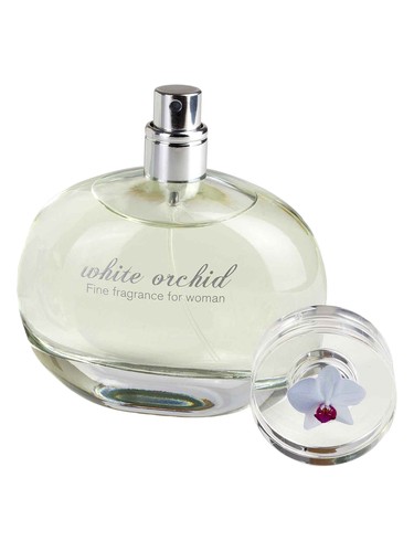 White Orchid