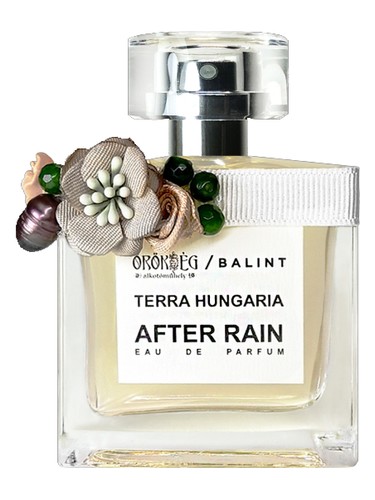 After Rain