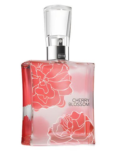 Cherry Blossom 2005