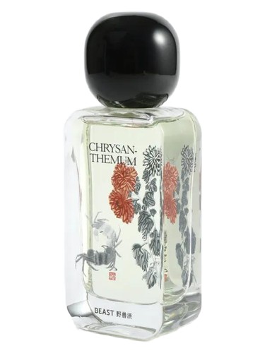 Chrysanthemum 采菊东篱