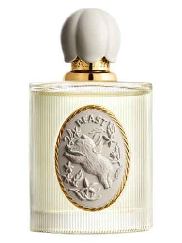 Day Dreaming 白日梦