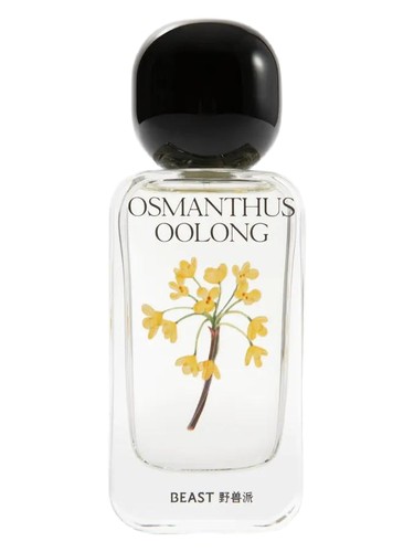 Osmanthus Oolong 桂花乌龙