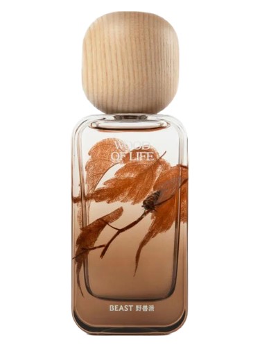 Wood Of Life 生命之木