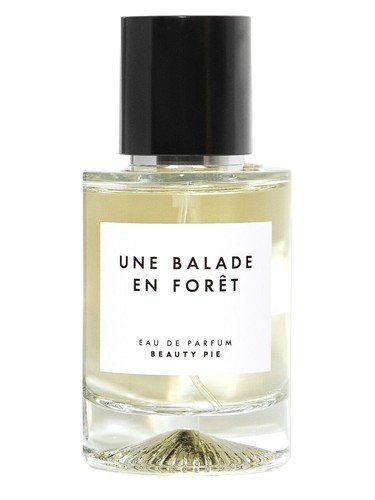 Une Balade En Foret