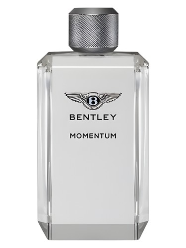 Momentum