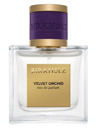 Velvet Orchid