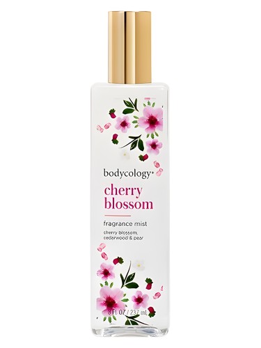 Cherry Blossom