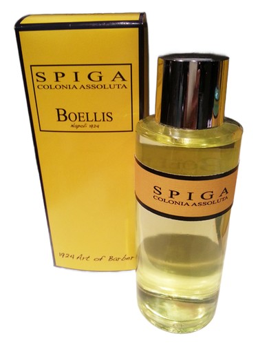 Spiga
