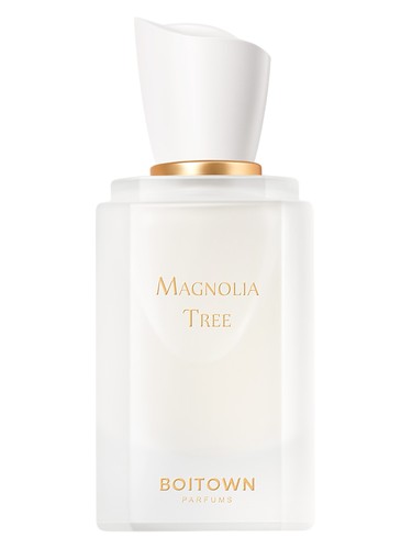 Magnolia Tree 一树玉兰