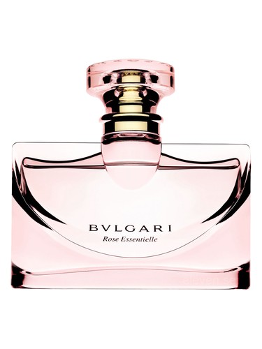 Rose Essentielle