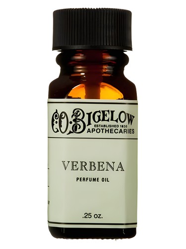 Verbena