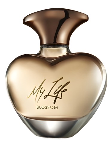 Mary J. Blige My Life Blossom