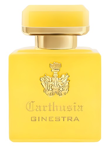 Intenso di Ginestra