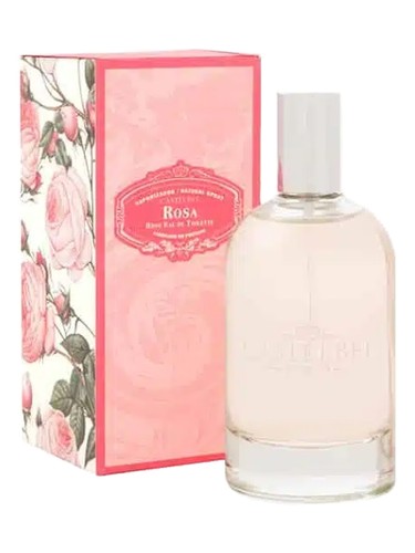 Rosa