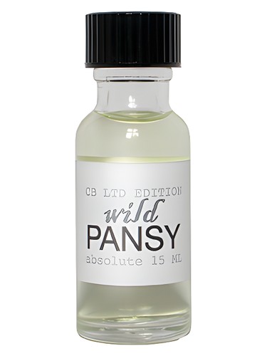 Wild Pansy