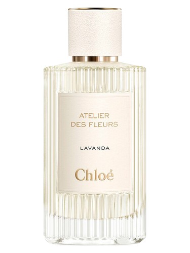 Lavanda