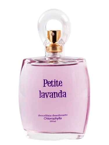 Petite Lavanda