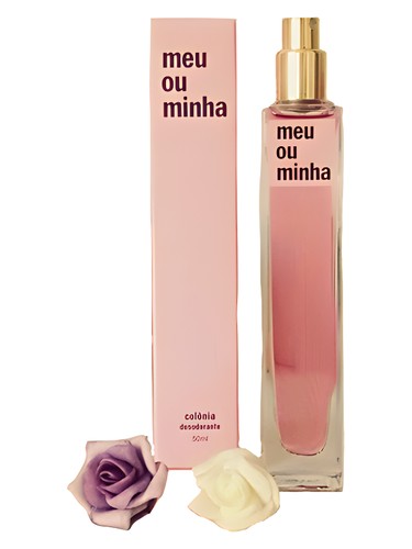 Meu Olhar