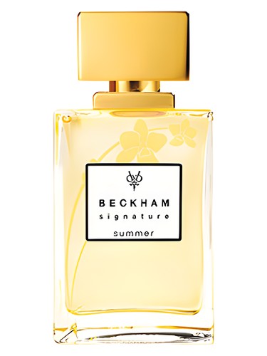Signature Summer for Woman