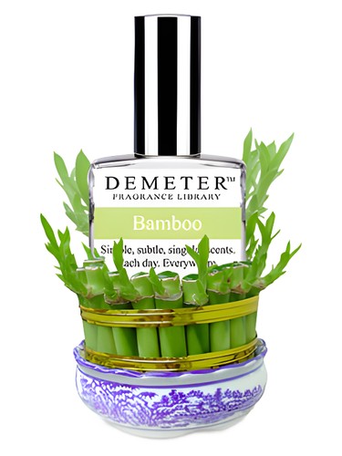 Bamboo